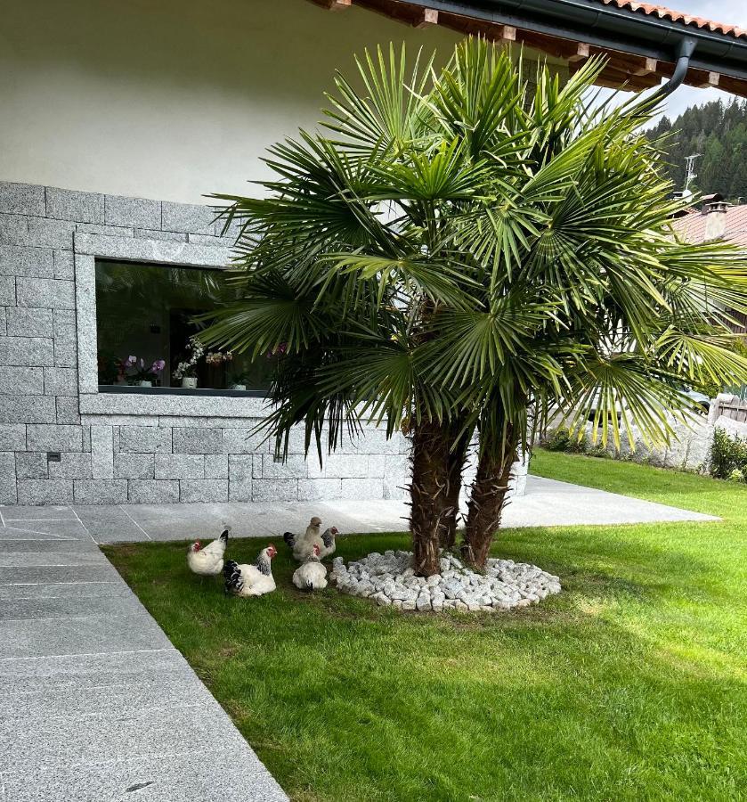 B&B Casa Il Sasso Pinzolo Exterior photo